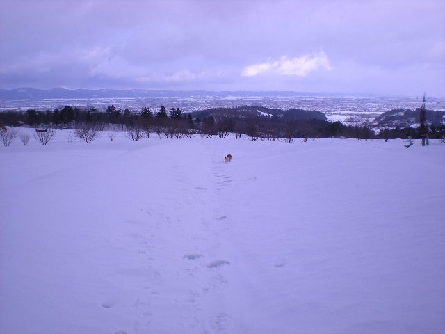 f0164499_8243851.jpg