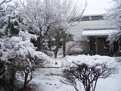 雪国…！？_b0058401_9343938.jpg