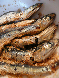 事務所のおひるごはん・・・簡素な和食_b0014003_17561830.jpg