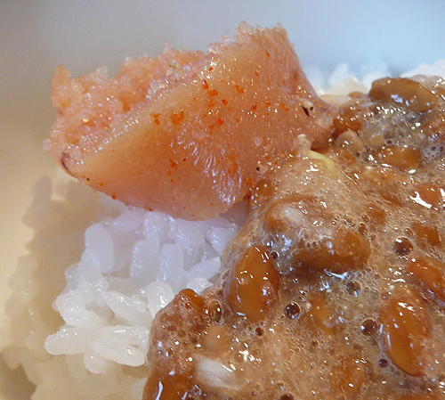 事務所のおひるごはん・・・簡素な和食_b0014003_1757214.jpg
