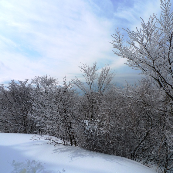 a0097006_0325299.jpg