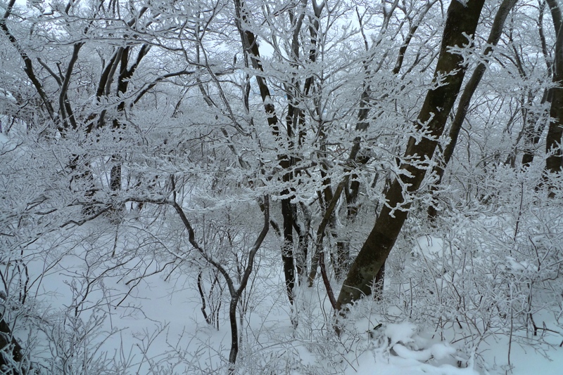 a0097006_035181.jpg