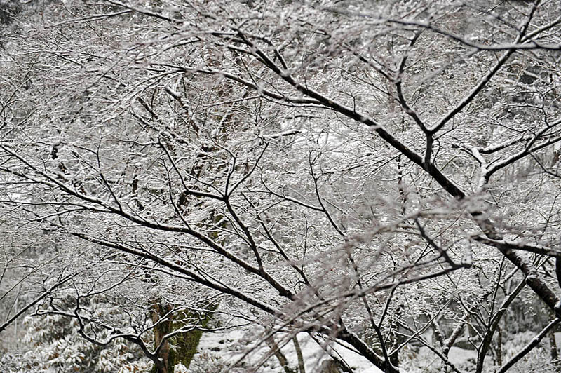 a0042310_13371794.jpg
