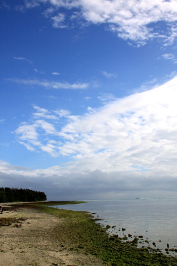 沖縄離島めぐり 竹富島_e0048413_1724084.jpg