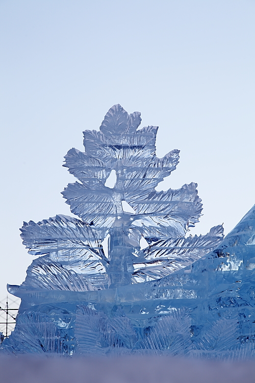 さっぽろ雪祭り_e0219214_23241341.jpg