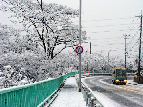 神戸の雪景色_f0223914_1745818.jpg