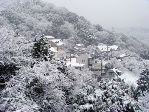 神戸の雪景色_f0223914_1803377.jpg