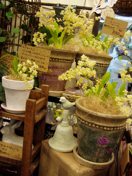 e0138323_10361112.jpg