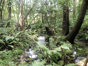 f0097528_20172089.jpg