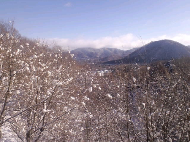 f0098728_2082427.jpg