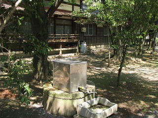 e0202031_2258849.jpg