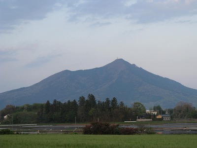 e0202031_234025.jpg