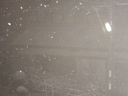 湘南に.....初雪が,,,_b0137932_22351874.jpg