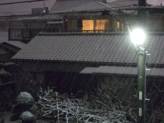 湘南に.....初雪が,,,_b0137932_22353025.jpg