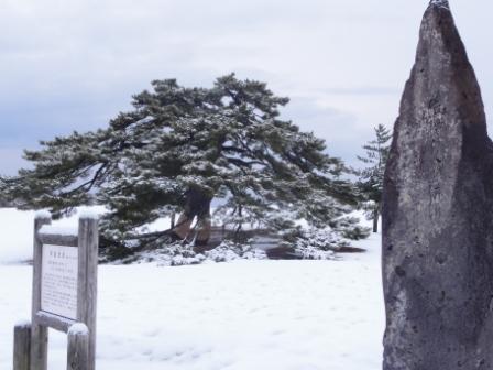 雪　降るでもなし降らないでもなし_e0166734_19151182.jpg