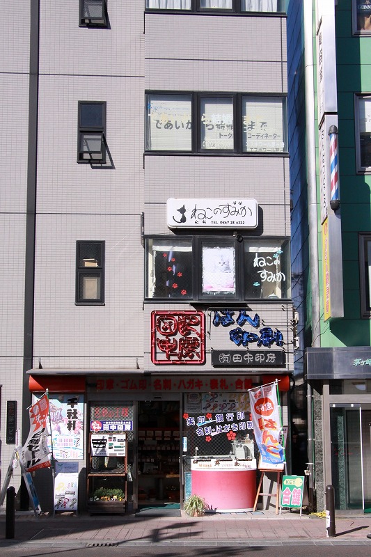 茅ヶ崎市茅ヶ崎 ねこのすみか 新 間違いだらけの猫カフェ選び 茅ヶ崎市茅ヶ崎 ねこのすみか 新 間違いだらけの猫カフェ選び