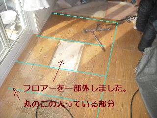 室内タイル工事_f0031037_2234331.jpg