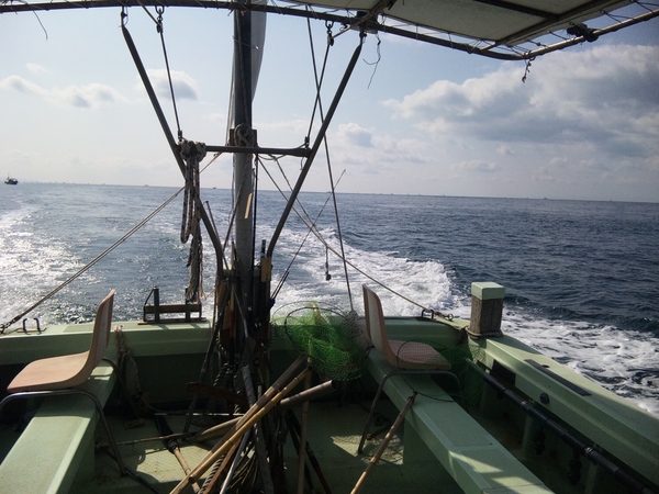 b0191441_17141447.jpg