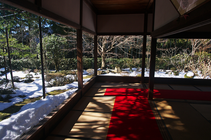 雪の残るお庭（大原・宝泉院）_f0155048_003175.jpg