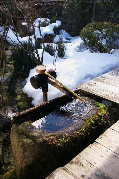 雪の残るお庭（大原・宝泉院）_f0155048_012520.jpg