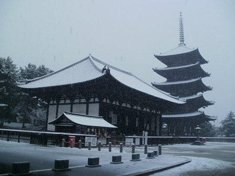 奈良　興福寺　雪景色 ☆☆☆_a0168649_23194272.jpg