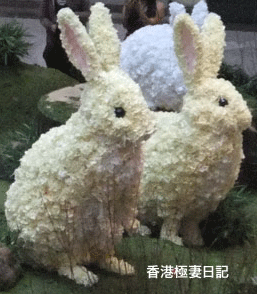 f0190653_9105537.gif