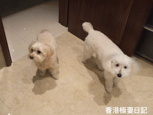 f0190653_91122.gif
