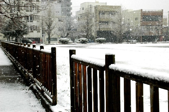 　　和歌山市にも雪が！_b0093754_23405744.jpg