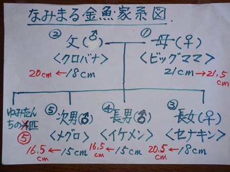 c0180460_17494716.jpg