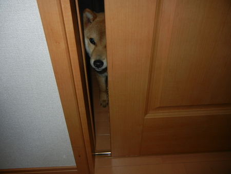 2月14日(月)ちょい悪、遼くん!_f0060461_2241055.jpg
