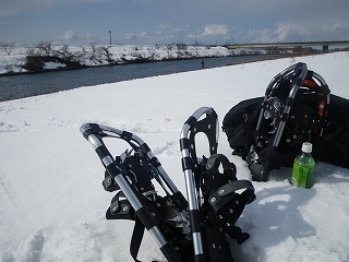 2月第二週の九頭竜川_f0145363_10142529.jpg