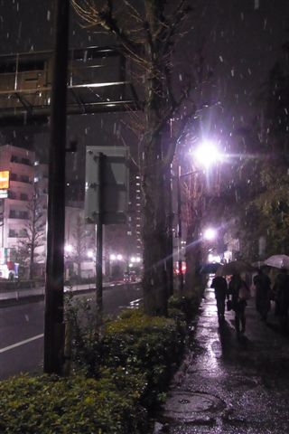 a0123465_22371386.jpg