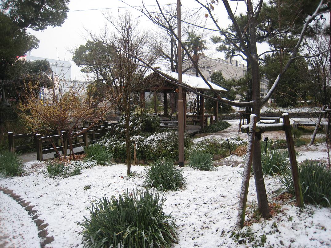 雪やこんこん_f0205367_19411255.jpg