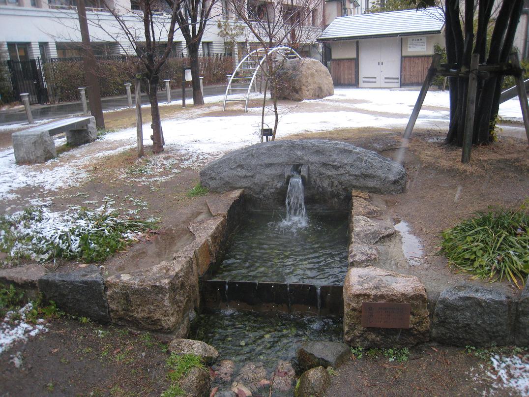 雪やこんこん_f0205367_19453286.jpg