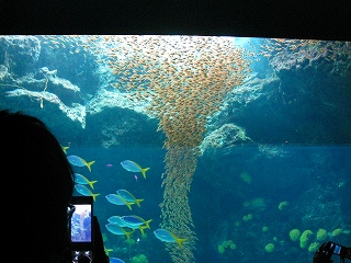 e0160568_14454228.jpg