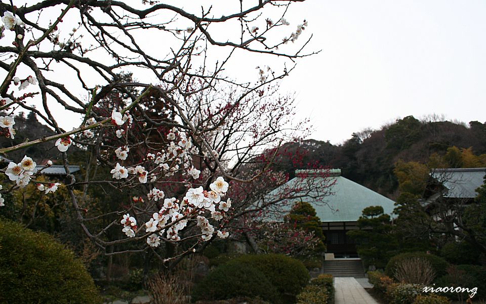 浄妙寺　特別参拝_e0182674_2132665.jpg