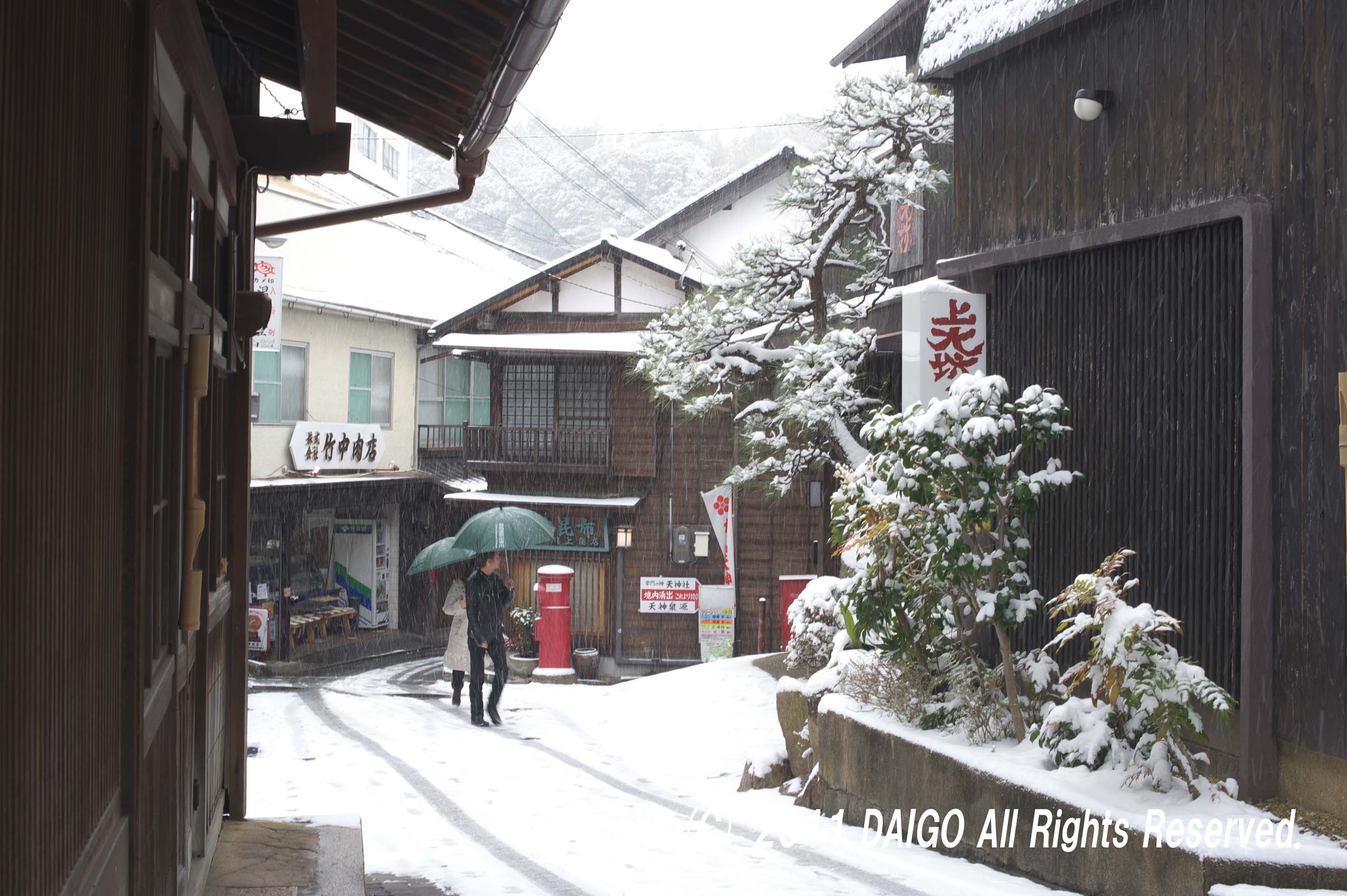 雪って、いいよね♪♪_d0181177_653589.jpg