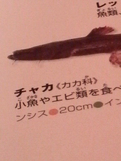 f0228680_1105615.jpg