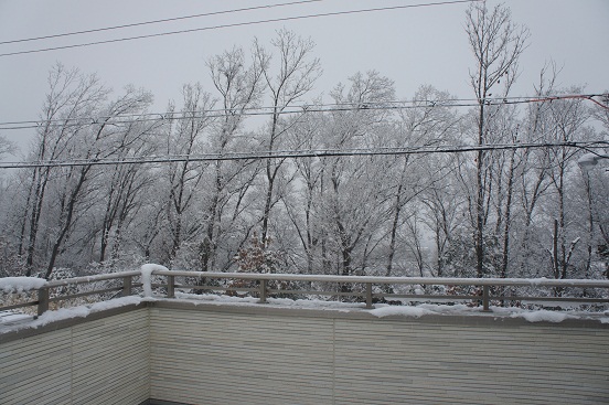 f0231084_1847528.jpg