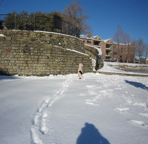 ダラスの雪_e0138289_13412157.jpg