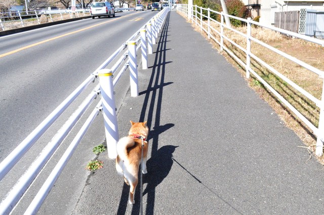 まだですか?_a0126590_23483315.jpg
