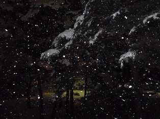 雪！！！_a0138490_22454740.jpg