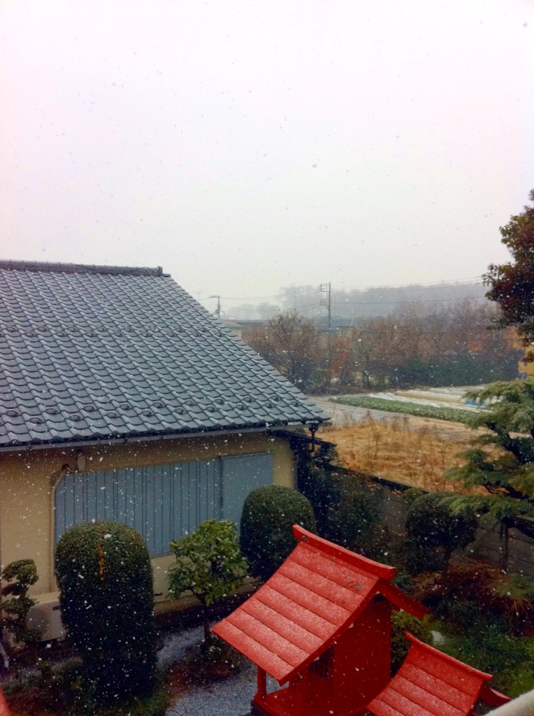完全復活_f0236990_15451818.jpg