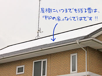 屋根に残る雪_c0178792_14345733.jpg
