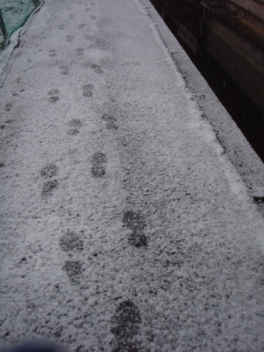a0036693_1795557.jpg