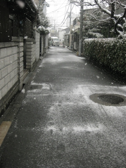 週末は積雪_f0118594_1344070.jpg