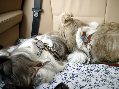 c0090198_3242790.jpg