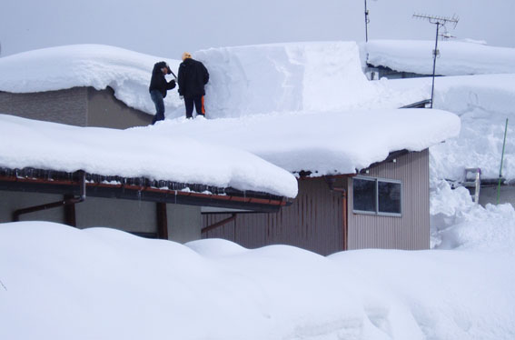 豪雪の横手_e0054299_9151165.jpg