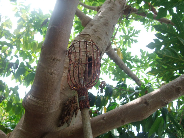 c0183801_8141242.jpg