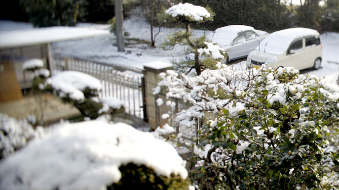 関東は雪　(11/02/15)_a0087804_17135391.jpg